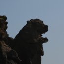 백아도 Daum카페
