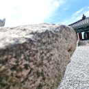 동림사