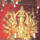 천수 Daum카페