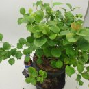 청미래농장 이미지