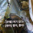 뽑아뽑아 이미지