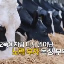 요거트가족 - 관악구 신림로36길 15 | 요거트가족