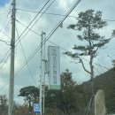 포시즌 봄 | 청주 옥화포시즌캠핑장 - 할로윈 캠핑 후기 🎃⛺✨