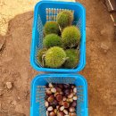 이종현농장 이미지