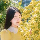 행복한꽃차카페 이미지