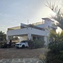 제주하와이 덕수궁 이미지