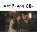 6전6회 이미지