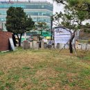 남양도호부 선정비 이미지