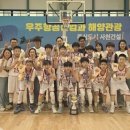 안산초등학교 이미지