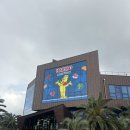 피커스월드 | 제주 대형카페 | 피커스 제주 솔직후기 | 내돈내산
