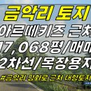 토지2-213[ 한림읍 금악리 아르떼키즈/평화로 근처 대형토지 매매(17,068평/2차선 접함/목장용지/사업용지) ]#아르떼키즈토지, 이미지