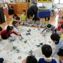 세화초등학교 병설유치원 이미지