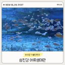 수달 | 섬진강어류생태관｜광주 근교 아이랑 구례 수달 관람 후기