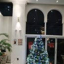 사림동166 | 창원디저트맛집 웨이브인에서 제대로 된 크로플과 두쫀쿠를