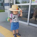 영채농장 이미지