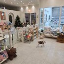 펫지살롱 이미지