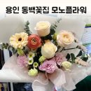용인 동백꽃집 모노플라워 부모님생신