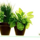 눈부신날에 이미지