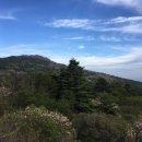 세석조경