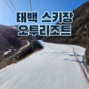 미지하우스 | 강원도 스키장 태백 오투리조트 장단점 스키하우스 장비대여 사설강습 눈썰매장 후기