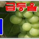 ㈜엠케이컨설팅 이미지