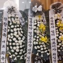 대구삼촌 25.8.30.별세 이미지