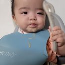 시판이유식 체험 - 산골이유식 실망스러웠던 후기