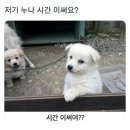 해그라미 이미지