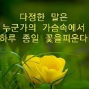 🌻🍒말하지 않고 사랑을 전달하는 법 25 가지🍒🌻 이미지