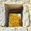 경기도 수원시 장안구 경수대로743번길 | 경기도 단풍 명소 수원 화성 행궁동 은행나무 억새 실시간