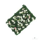 별동자리 이미지