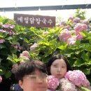 계절반찬 - 성남시 중원구 둔촌대로 300 | [맛집] 아산 칼국수 신상맛집 신정호 계절닭칼국수 후기