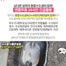 강릉연세정형외과의원 이미지