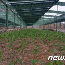 청원 태양광발전소 이미지