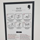 캣플 동탄점 이미지