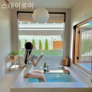 스테이로이 이미지