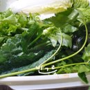 가나 민박 이미지