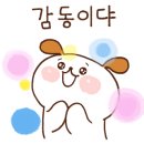 강다짐순천