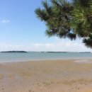 톱머리 리조트 | 전라도 핫플, 무안 톱머리해수욕장