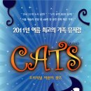 가족뮤지컬 어린이캣츠 이미지