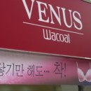 홍성비너스 티스토리