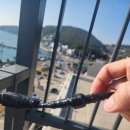 햇빛나눔 | 테라스 감성 완성! 나눔조명 태양광 줄조명 설치 후기