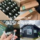 애향길 | 청주 쑥이 가득한 쑥떡맛집 애향당 가격 포장 보관 먹는법