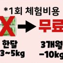 렛츠고점핑다이어트