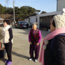 꼴배별장펜션 이미지