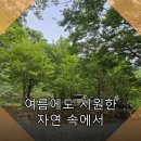 얼음골민박 | 얼음골 근처 숙소에서의 여름 휴가 후기