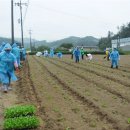 계룡새마을