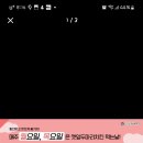 코리엔탈깻잎치킨 이미지