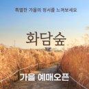 화담 이미지