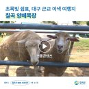 좋은빛목장 이미지